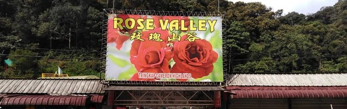 Rose Valley Cameron Highlands