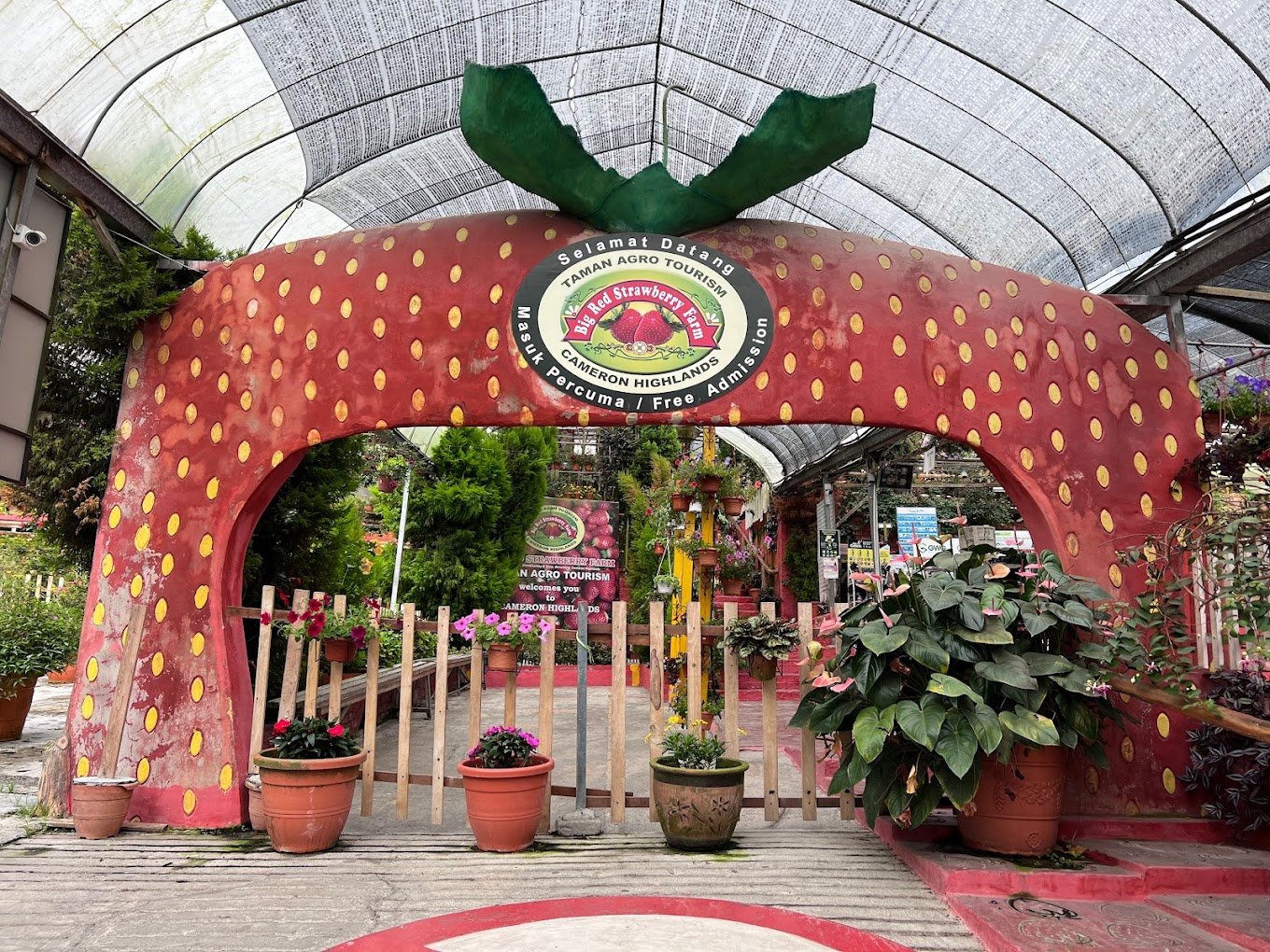 STRAWBERRY FARM