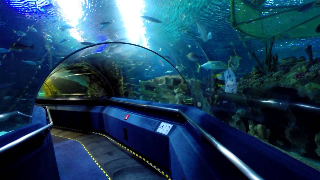 AQUARIA KLCC