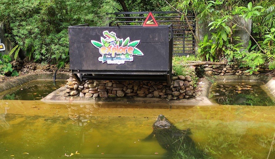 CROCODILE ADVENTURE