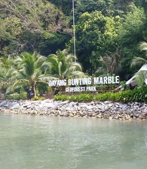 DAYANG BUNTING