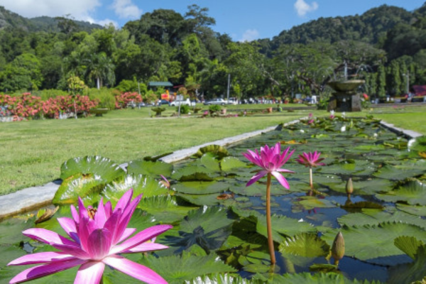 PENANG BOTANIC GARDENS