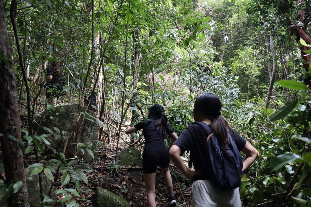 JUNGLE TREKKING