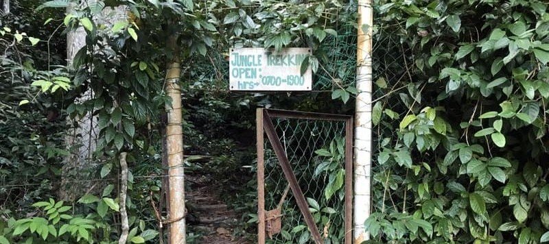 Jungle Trekking Perhentian Island