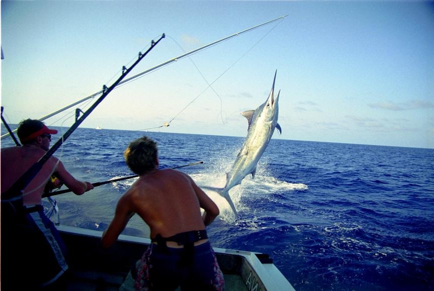 SEA FISHING