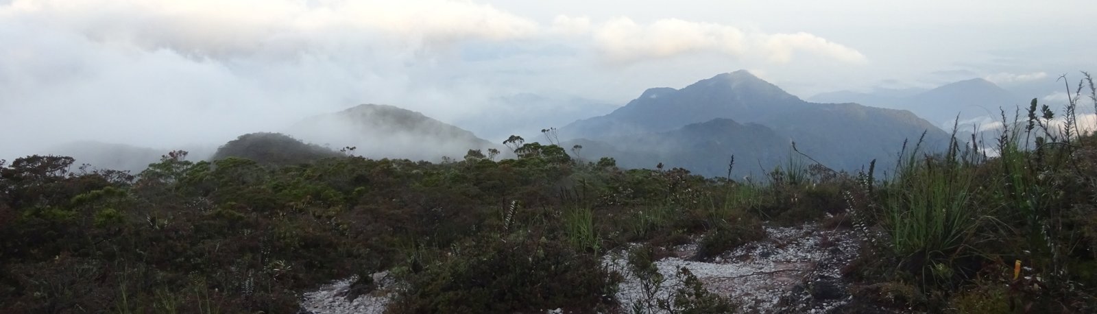 Gunung Tahan Taman Negara