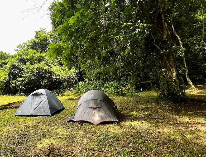 JUNGLE CAMPING