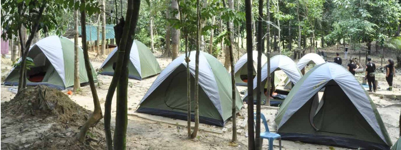 Jungle Camping Taman Negara