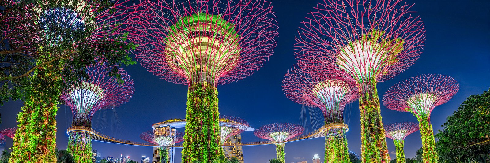 Gardens By The Bay